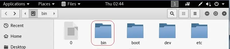 bin folder