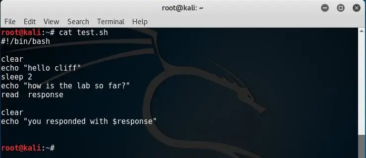 Cat Command View File