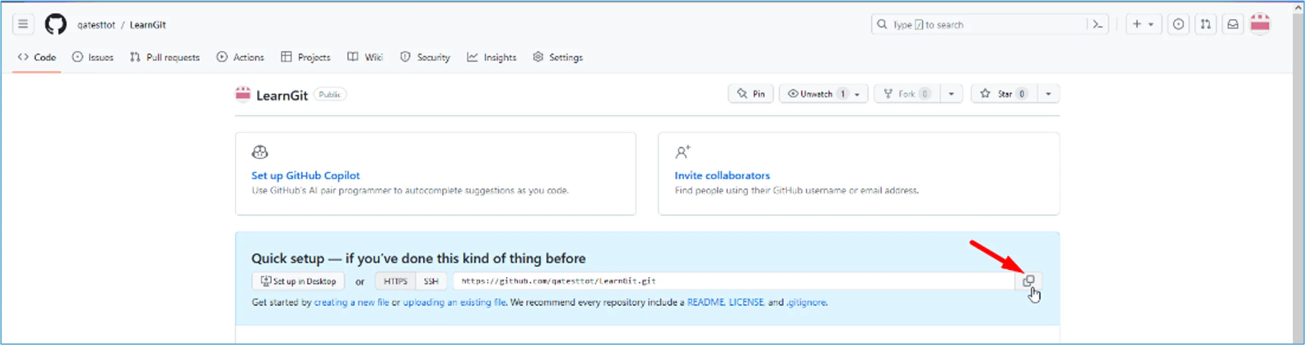 Github Push Repository