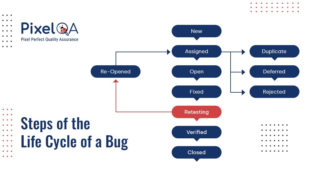 chart - steps of the lifecycle of a bug.png