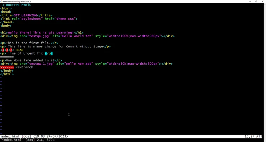 Git Status