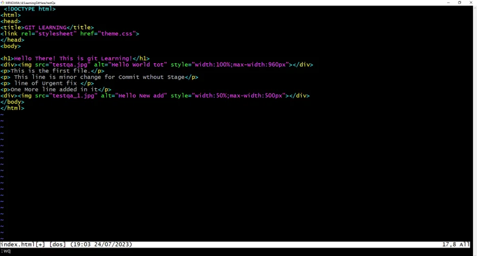 Git Version
