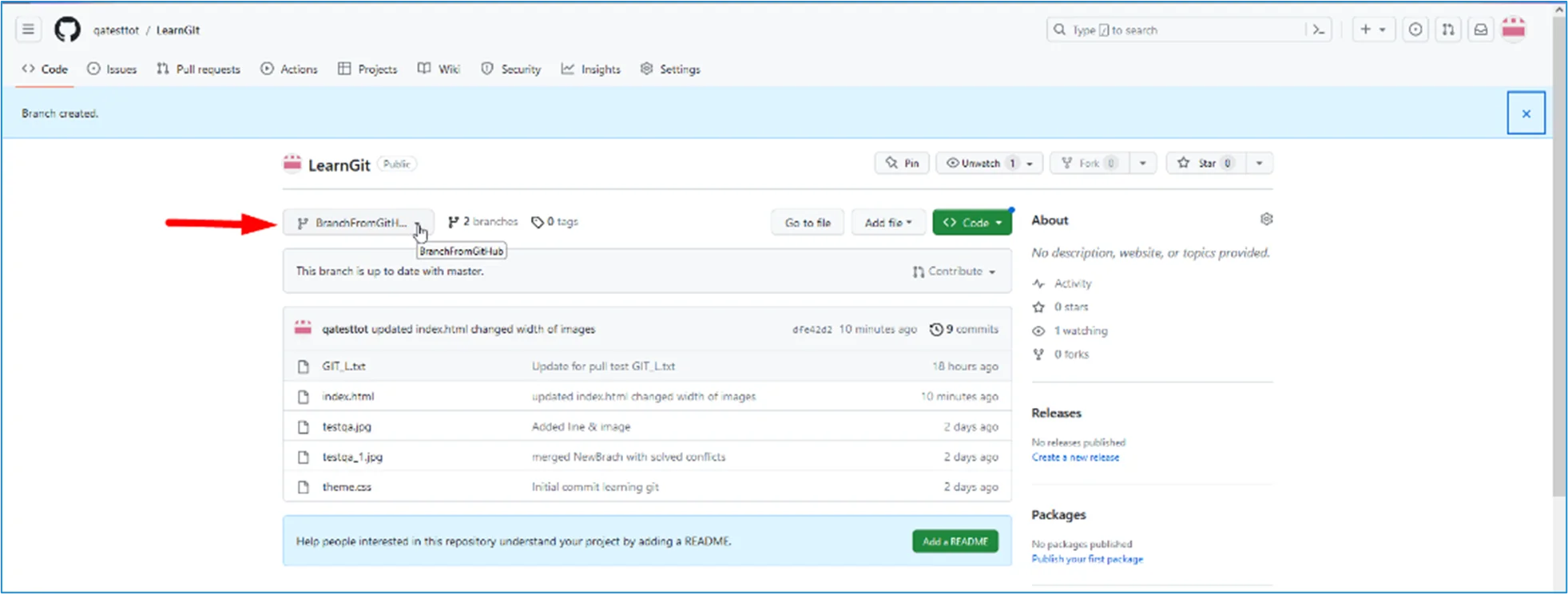 Github Branch