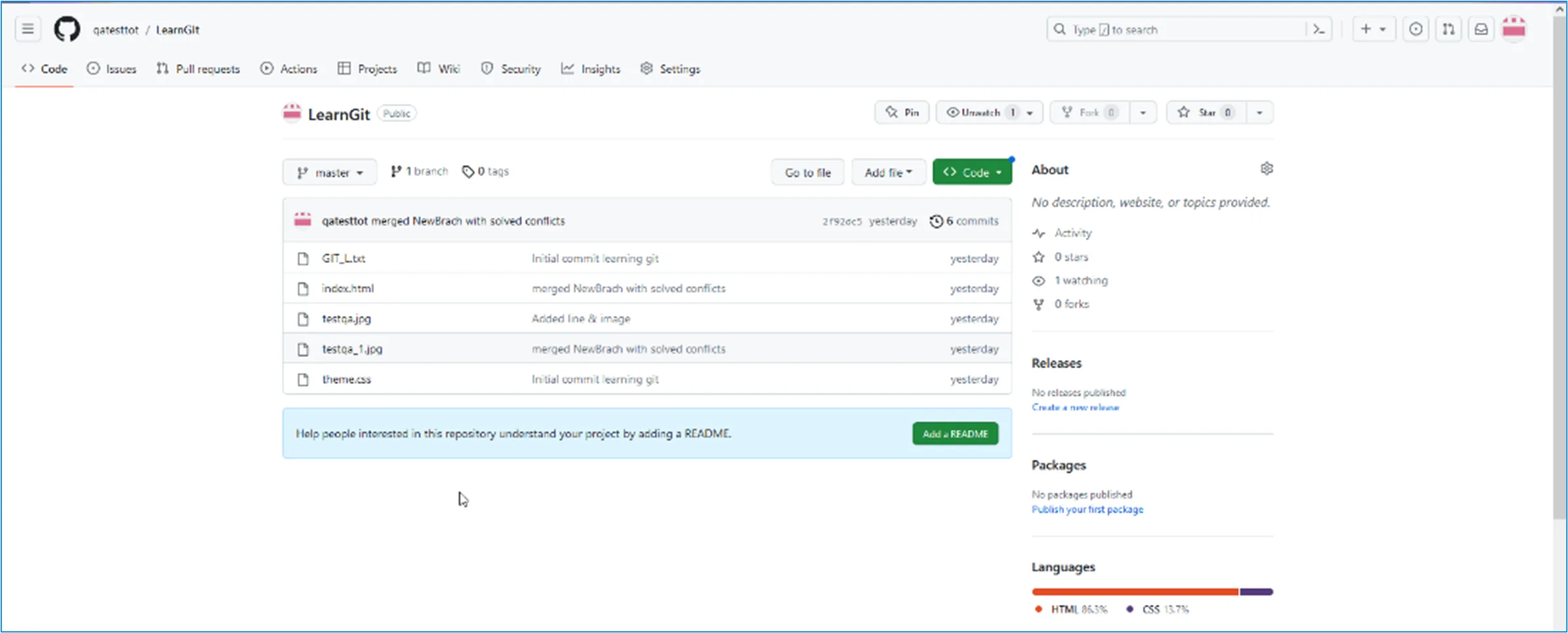 Github Repository