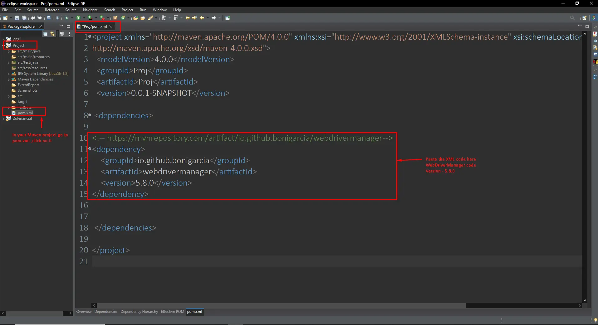 Paste The Code In POM