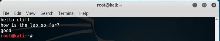 Run Script Again