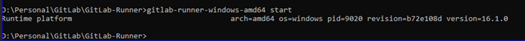 Runner Instance