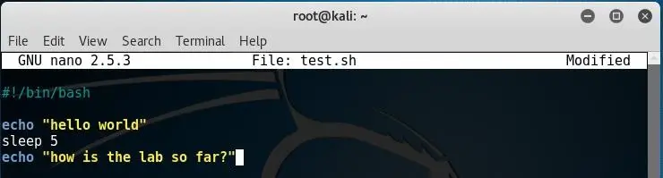 Script Begins Syntax
