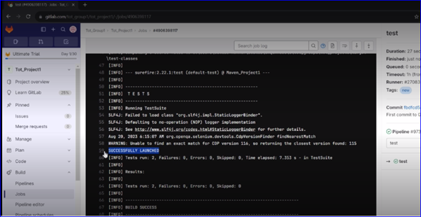 Successfully Launch Of Gitlab
