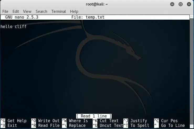 temp txt editor