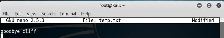Temp Txt Goodbye Editor