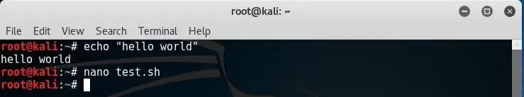 terminal prompt